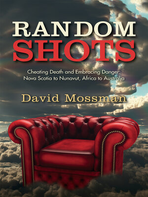 cover image of Random Shots